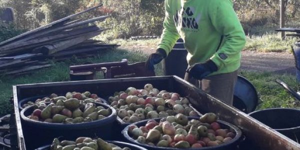 Sebastian Mezger Sebastian Mezger