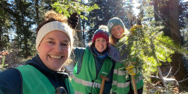 WhatsApp Image 2026-01-22 at 11.11.36 (6)