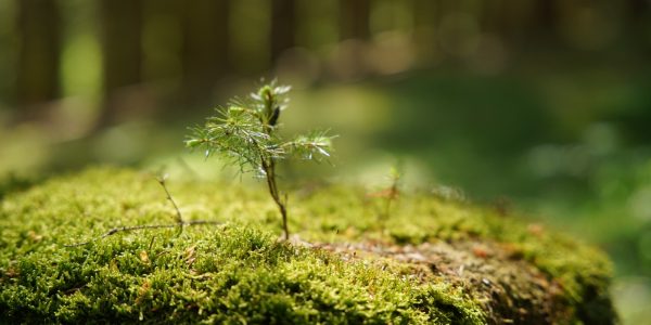 d859c839-6eb4-4dd6-b26e-2eeddefa2adc